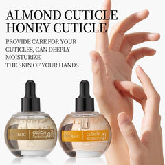 Kormesic almond cuticle