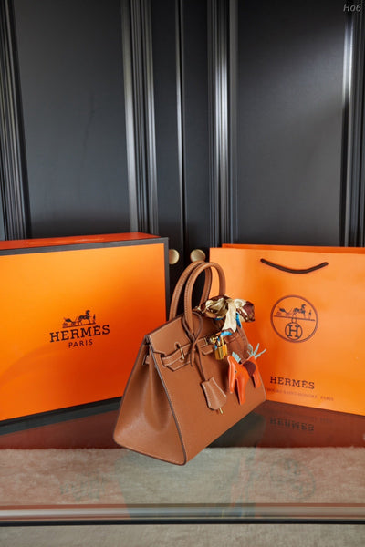 Hermes brikin Brown handbag