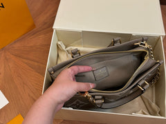 LV OTG grey Handbag