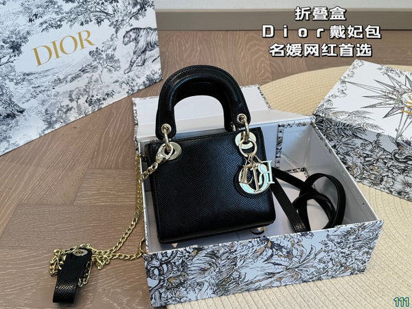 CD Lake Handbag
