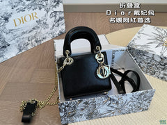 CD Lake Handbag
