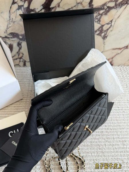 C Limited edition handbag latest edition