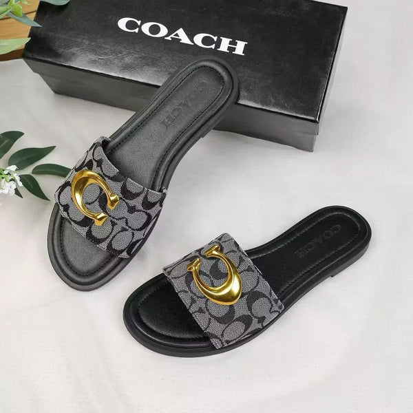C Limited edition slipper