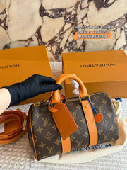 LV Limited latest edition Bag