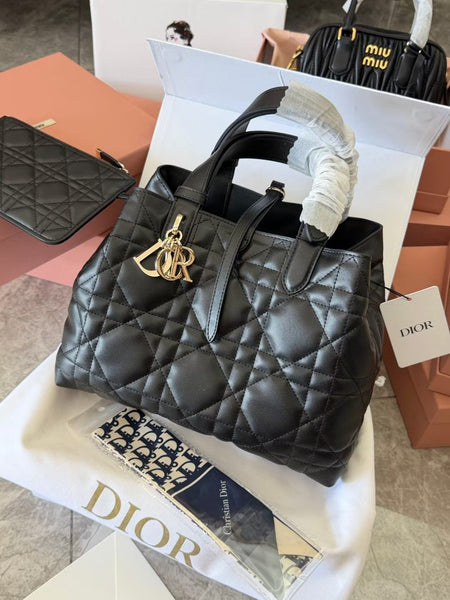 CD Limited latest edition Bag